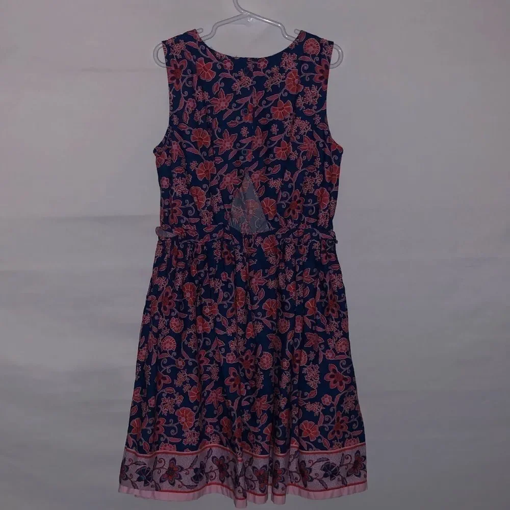 Gap Red & Blue Floral Print Dress